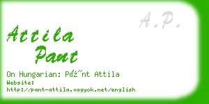 attila pant business card